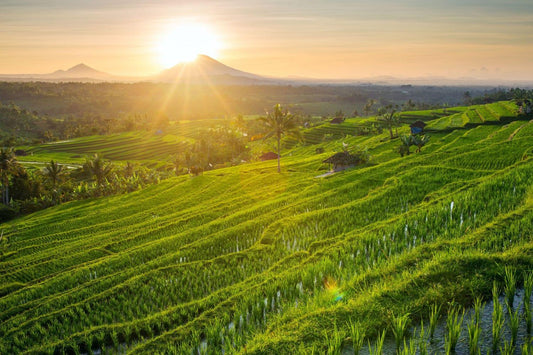 10 things to do while travelling around Ubud - Kulture Home Decor